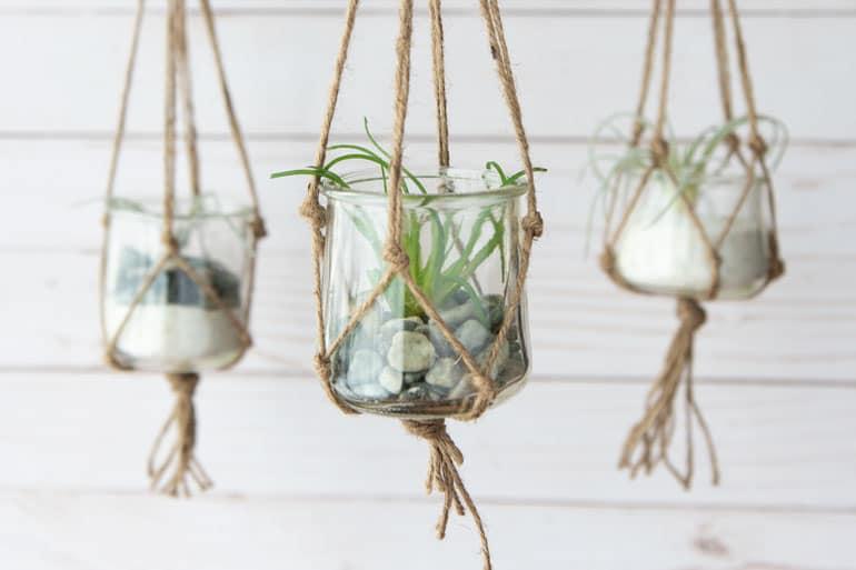 Three Oui by Yoplait yogurt jars hanging individually from rope with miniature gardens in each of them.